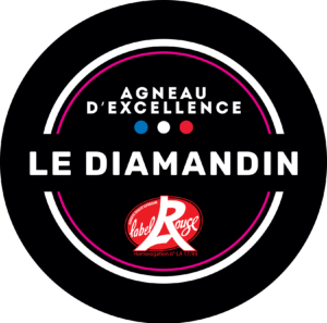 logo Diamandin noir